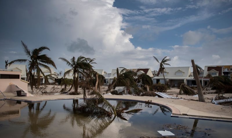 Bowed palm trees lean  before a sand-filled swimming pool in the Baie Nettle area of Marigot, on September 10, 2017 on Saint-Martin island, devastated by Hurricane Irma.  
People on the islands of Saint Martin and Saint Barts turn to the colossal task of rebuilding after Hurricane Irma laid waste to their infrastructure and shattered their lives. 