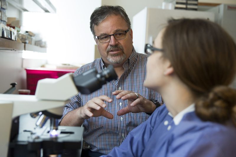 Dennis Kyle of UGA's Kyle Lab and his team has been working on drugs and diagnostics for parasitic diseases like malaria and the brain-eating amoeba.
CONTRIBUTED