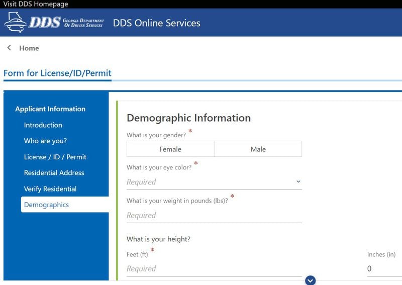 The Georgia Department of Driver Services' online application form.