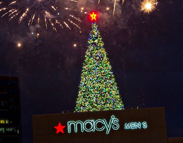 Macy's Great Tree 2014