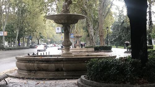 Noel Haeberle took this picture in November on Paseo Del Prado in Madrid, “Very apropos considering it was right on our side of the Prado,” he wrote.