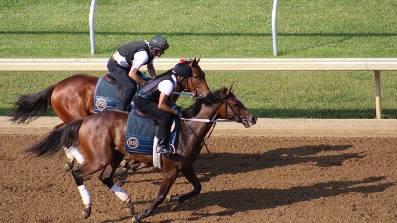 The Year-Round Tour at Keeneland racecourse in Lexington, Kentucky, offers a chance to see thoroughbreds being exercised and trained. Contributed by Jane Owen