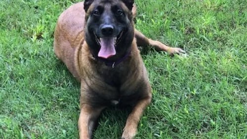 Roux, a 3-year-old Belgian Malinois, woke her owner Jeff LeCates with “frantic and unusual barks” Saturday night, according to a Franklin Fire Department news release.