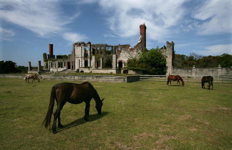 On Cumberland Island, wild horses graze outside Dungeness, the ruins of a 59-room Queen Anne-style house built by Thomas and Lucy Carnegie in 1885. CURTIS COMPTON / ccompton@ajc.com