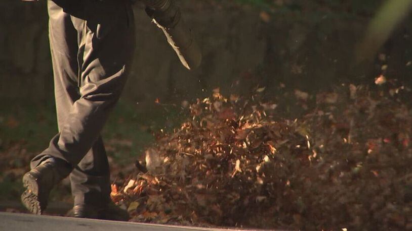 Proposal would stop gas-powered leaf blower bans by Georgia cities, counties