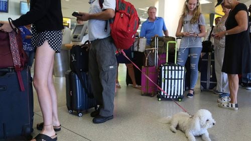 A dog named Jazzy waits in line with Delta Air Lines passengers at a ticket counter in Newark Liberty International Airport in Newark, N.J., on Aug. 8, 2016. The airline announced new rules Jan. 19, 2018, dealing with animals flying with passengers as service or emotional-support animals.