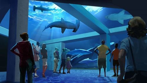 The Georgia Aquarium Expansion 2020 project will include a new shark gallery, which is slated to open in late fall 2020. CONTRIBUTED