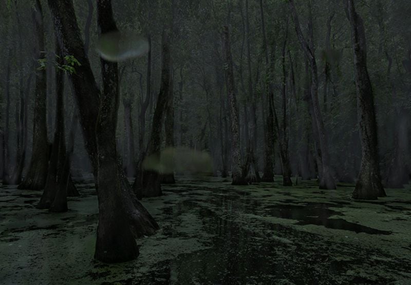 “Cypress Swamp, Middle Mississippi, 2014.” This digital chromogenic print is by Jeanine Michna-Bales, whose exhibition “Through Darkness to Light: Seeking Freedom Along the Underground Railroad” is on view at Arnika Dawkins Gallery in College Park.