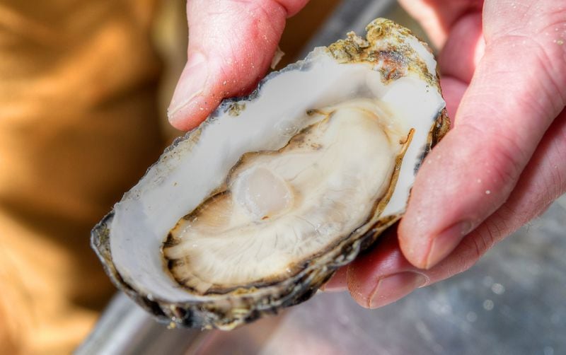 Dine on oysters fresh, fried or roasted on Daufuskie Island. Chris Hunt For The AJC