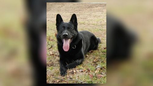 Nico, a retired Johns Creek Police Department K-9 dog, has died. He was 12 years old. "Nico’s health began to deteriorate in retirement, some of which was attributed to the physical toll his working years had on his body," the department said.
