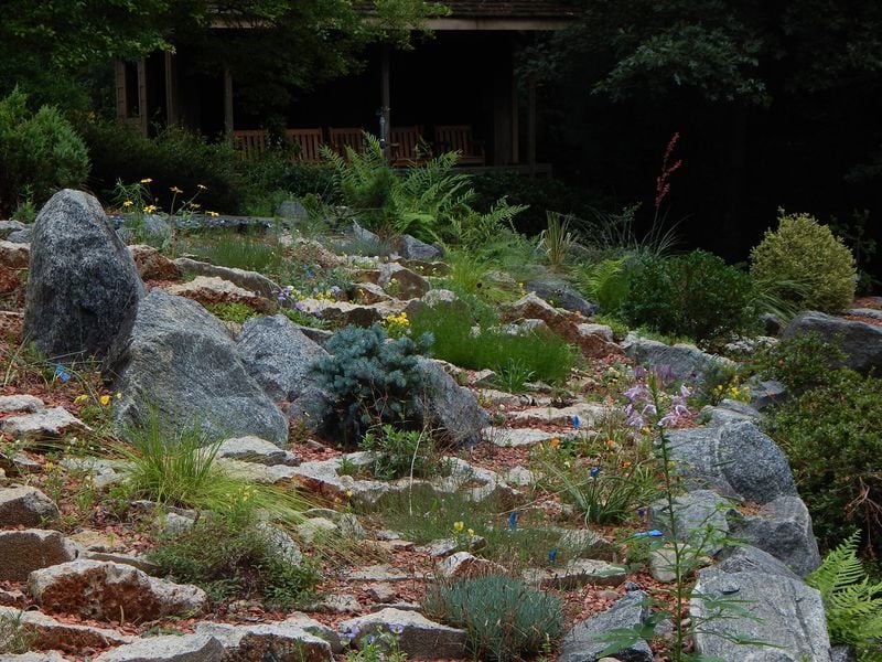The crevice garden at Smith-Gilbert Gardens features small plants that grow among precisely placed vertical stone slabs in an effort to imitate the rugged beauty of cliffs and outcrops within stratified-rock faces. Contributed by Smith-Gilbert Gardens