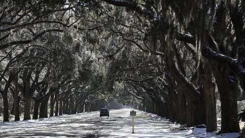 SAVANNAH, GA - JANUARY 04: Snow blankets the driveway to Wormsloe Historic Site after yesterday’s snow storm on January 4, 2018 in Savannah, Georgia. From Maine to Florida every state along the east coast is expected to have to deal with winter weather. (Photo by Joe Raedle/Getty Images)