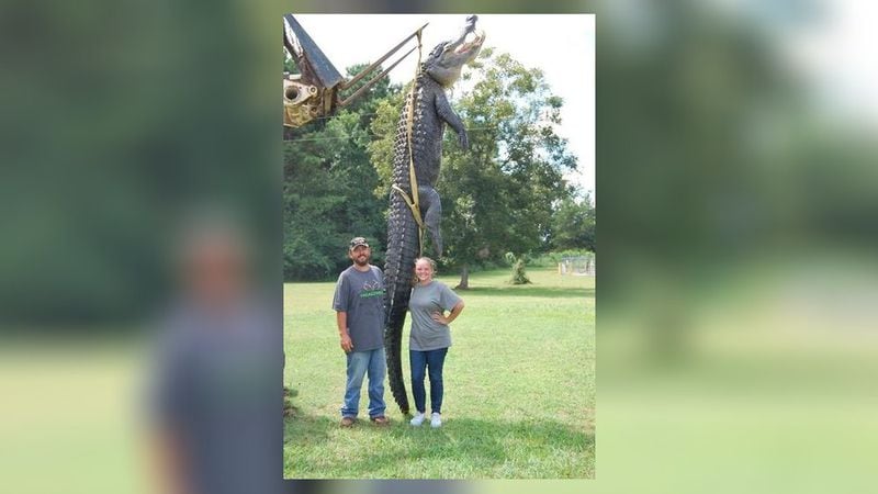 Derrick Snelson and his daughter Shelby stand next to a 14-foot alligator they caught during a recent hunting trip.