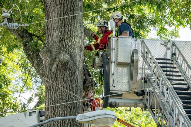 A tree removal worker was electrocuted Monday in Acworth, according to investigators. Crews later removed the man's body from a tree.