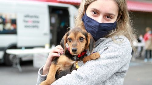 The Atlanta Humane Society will help you find your new best friend at a Pop-up Adoption Day 11 a.m. to 3 p.m. Sat., Apr. 10 at 1565 Mansell Road in Alpharetta. (Courtesy Atlanta Humane Society)