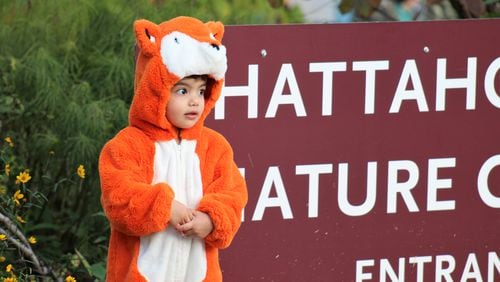 The Chattahoochee Nature Center is bringing back educational, non-scary fun for the 38th year with Halloween Hikes 6-10 p.m. Friday-Sunday, Oct. 27-29. (Courtesy Chattahoochee Nature Center)