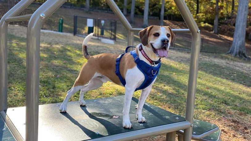 Atlanta opens first dog park on westside in Mozley Park. (Courtesy Friends of Mozley Park)