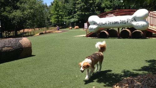 The Newtown Dog Park in Johns Creek will close for renovations March 1. (Courtesy City of Johns Creek)