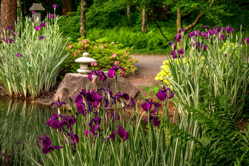 Find a Japanese garden, fields of wildflowers, cherry blossoms and other picturesque scenes at the Gibbs Gardens.