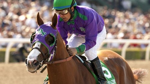 California Chrome with jockey Victor Espinoza and the suddenly-controversial nasal strips.