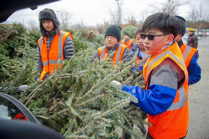 Boy scouts recycle trees