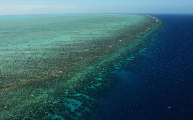 Aerial views of The Great Barrier Reef are seen from above on August 7, 2009 in Cairns, Australia.(Photo by Phil Walter/Getty Images)