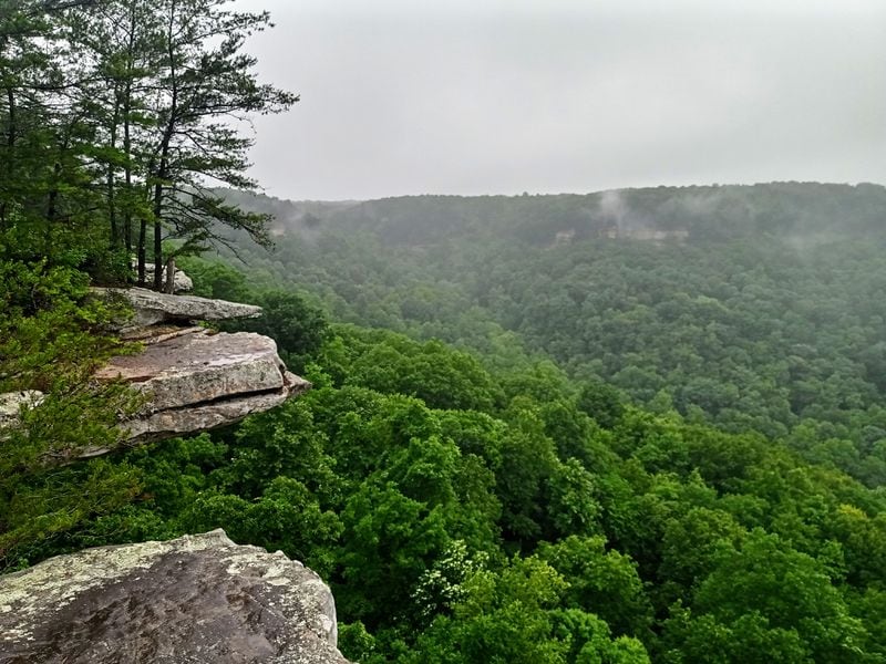 The Savage Gulf unit of South Cumberland State Park is less than 25 miles from The Caverns and boasts some of Tennessee's most scenic vistas and hiking trails.
Courtesy of Blake Guthrie