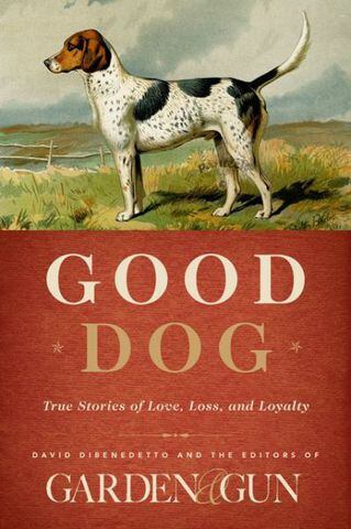 'Good Dog'
