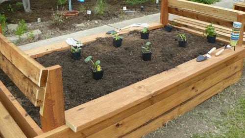 Anyone can rent a raised bed at Snellville’s community garden.