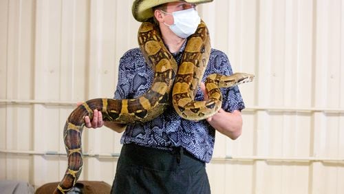 Brandon Barry from Cool Zoo holds a Colombian boa constrictor during the reptile show Repticon Atlanta at the Gwinnett County Fairgrounds on Sunday, January 10, 2021. (Photo: Steve Schaefer for The Atlanta Journal-Constitution)