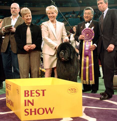 2004 Best in Show