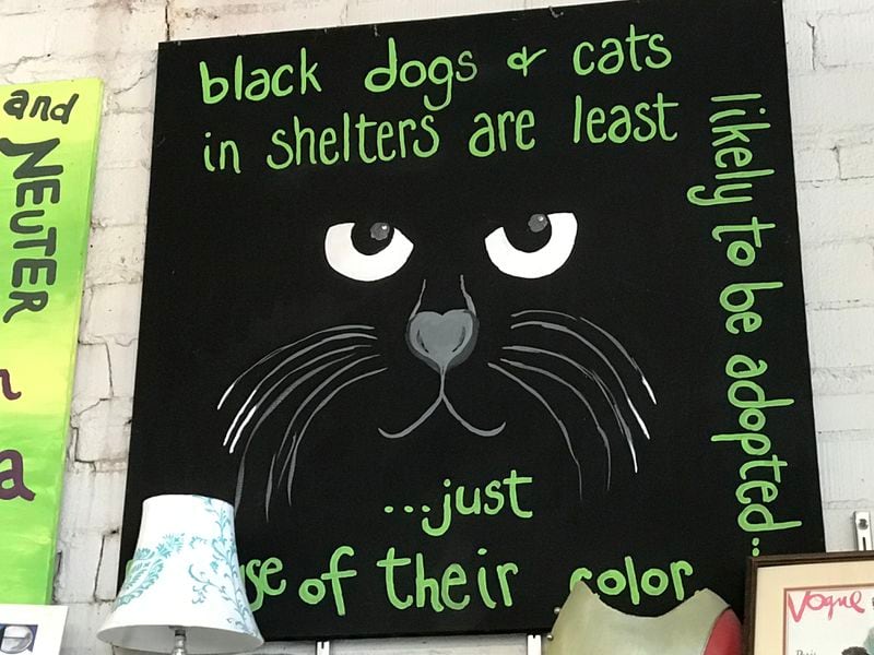 Pet art at the Second Life Atlanta thrift shop. CREDIT: SHELIA POOLE