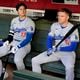 Los Angeles Dodgers Shohei Ohtani, left, and Freddie Freeman wait in the dugout while a swarm of bees gather on the net behind home plate delaying the start of a baseball game against the Arizona Diamondbacks, Tuesday, April 30, 2024, in Phoenix. (AP Photo/Matt York)