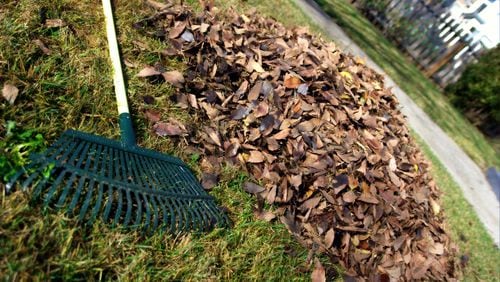The city of College Park’s department of public works is producing a flyer offering instructions for proper disposal of yard waste.