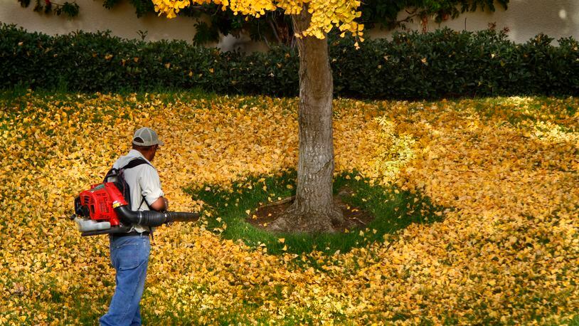 A measure that would prevent Georgia cities and counties from banning gas-powered leaf blowers won final passage Wednesday in the General Assembly. The measure now goes to Gov. Brian Kemp for his signature. (Don Bartletti/Los Angeles Times/TNS)