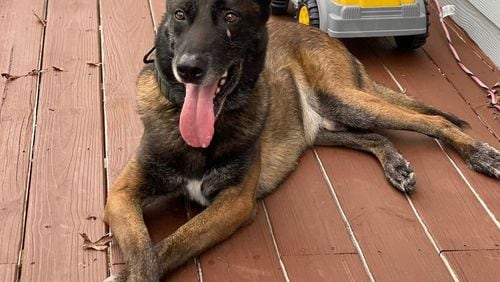 Marietta K-9 Officer Jacquo is taking a break upon his retirement after 7 years with the Marietta Police Department. (Courtesy of Marietta Police)