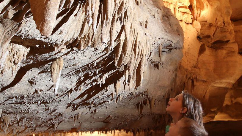 Inside Cumberland Caverns' 27.7 miles you'll see albino crawfish and bats.