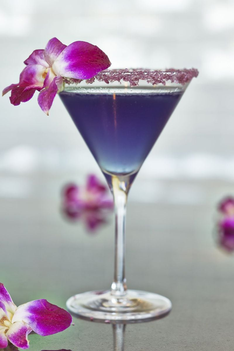 Even the sight of Tequila in Bloom at Apron at Solis Two Porsche Drive feels like spring. CONTRIBUTED BY SOLIS