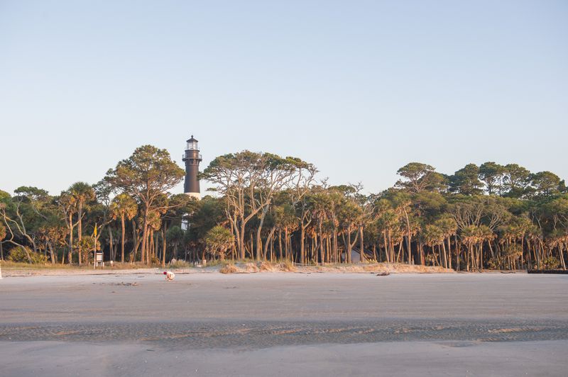 A historic lighthouse rises above the trees of the maritime forest at Hunting Island State Park offering panoramic views of this unspoiled coast.
Courtesy of DiscoverSouthCarolina.com