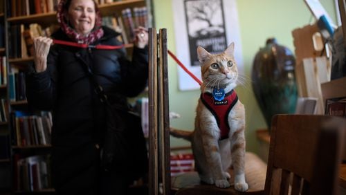 Connie Lipton keeps her cat, Max, on a leash as he roamed the book store. Contributed by Aaron Lavinsky/Minneapolis Star Tribune/TNS