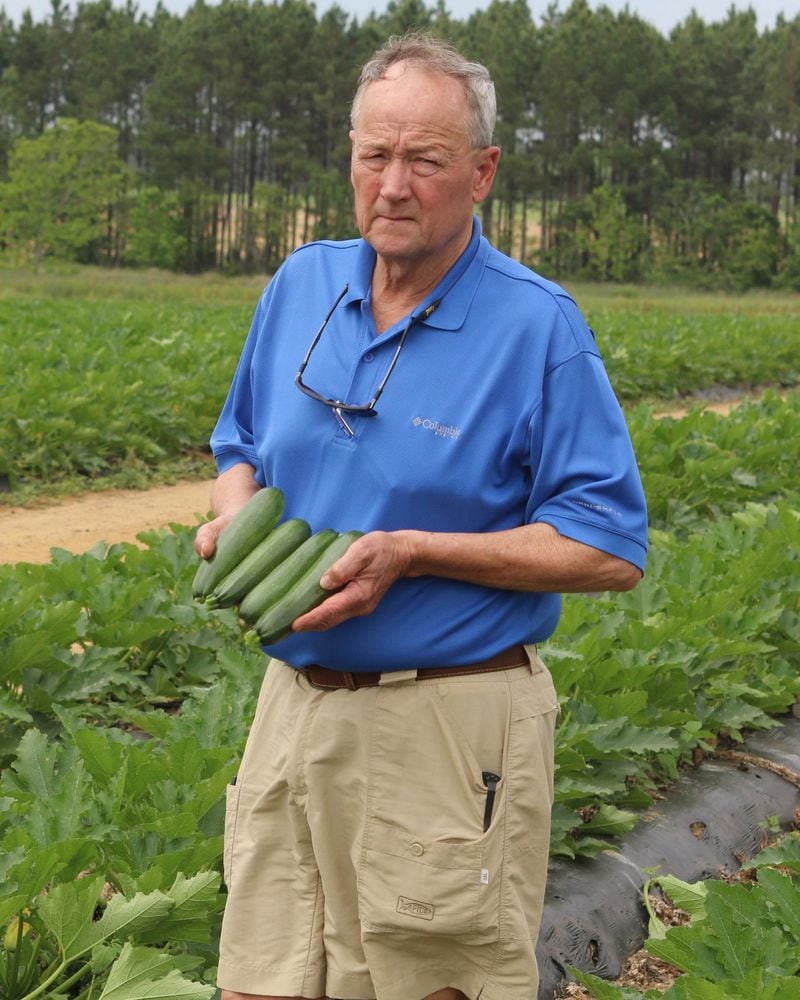 Bill Brim holds zucchini in his fields near Tifton. Brim and other Georgia farmers are facing the loss of millions of dollars as migrant workers’ visas are delayed by the federal government. Photo by Andy Harrison/ Georgia Depatment of Agriculture (The Atlanta Journal-Constitution)
