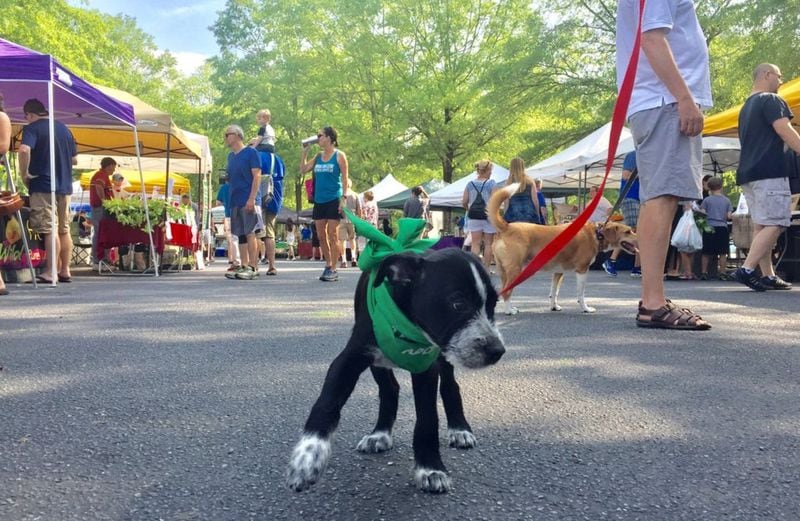 Well-behaved pups and their people are welcome at the Saturday morning Roswell Farmers and Artisans Market. CONTRIBUTED BY STEPHANIE LUKE