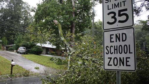 A large fallen limb knocked out power to a portion of north Dekalb County Monday afternoon, closing a section of Briarcliff Road east of Shallowford Road in the Brookdale Park neighborhood.