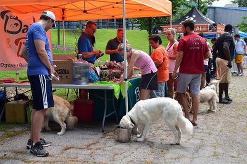 Bring your dog to enjoy Bark in the Park in Brookhaven.