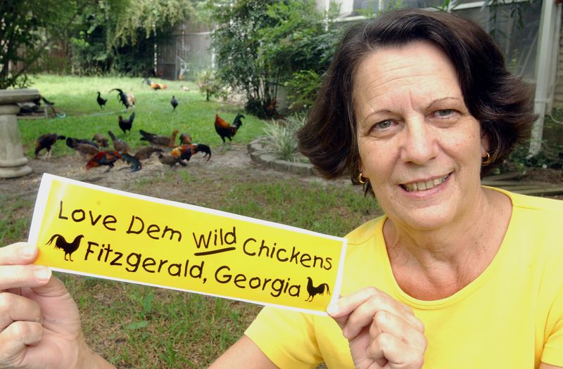 Jan Gelders wants Fitzgerald to declare the chickens the town bird. "They are part of our culture, part of our town," she says. "To get rid of them would make this town very, very blah." (Kimberly Smith/AJC file)