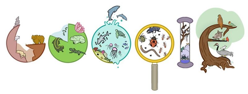 Helena Soriano's winning doodle for "Doodle 4 Google" competition.
