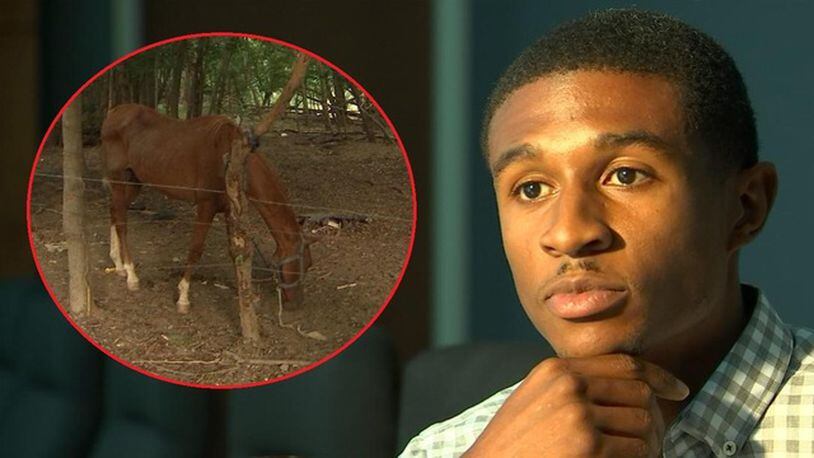 Brandon Fulton was charged with animal cruelty in July 2016 after Fulton County animal services found four dead and three malnourished horses on his property. (Credit: Channel 2 Action News)