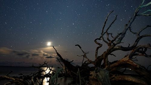 "I took this picture as the crescent moon was rising on Driftwood Beach, Jekyll Island; this is from Nov 2019," wrote Greg Callihan.