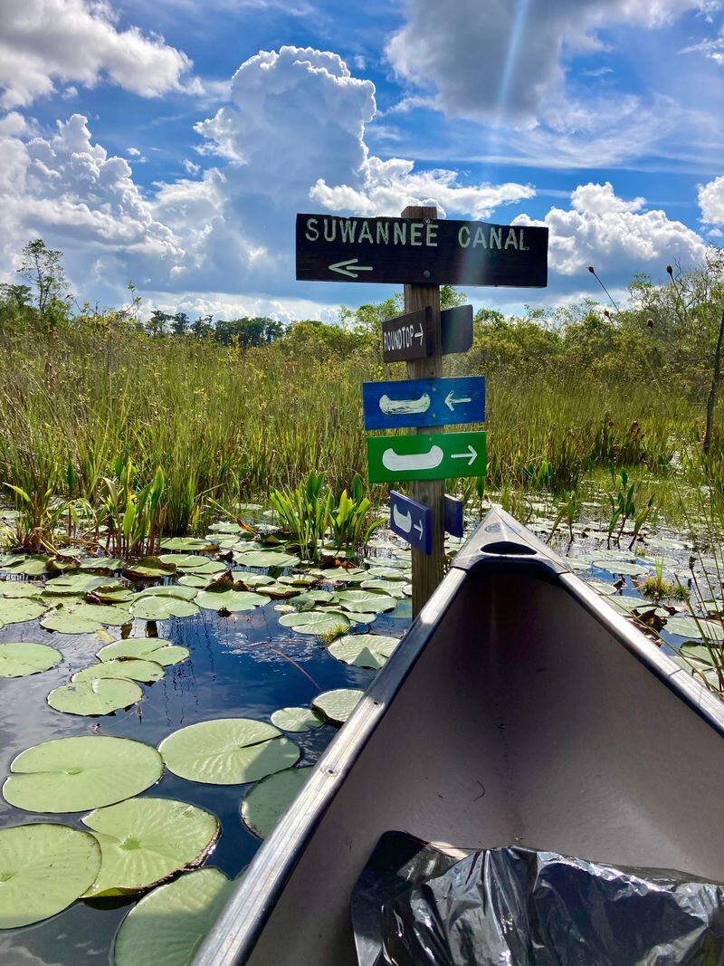 Chase Prairie, Okefenokee Swamp, 11 miles out in watery wilderness.