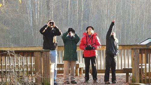 Atlanta Audubon Society birders (from left) Joe Cullen, Joy Carter, Stella Wissner and Mei-Jing Bernard look for birds in Constitution Lakes Park off Moreland Avenue during last weekend’s Intown Atlanta Christmas Bird Count. (Photo by Charles Seabrook)